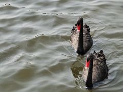 -长春市南湖公园