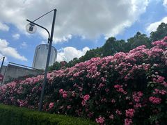 -上海科技馆(地铁站)