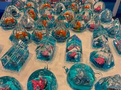 -上海海洋水族馆