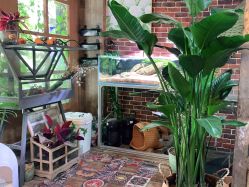 -青木造型HAIR·あおき髪を刈る潮人店