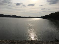 -羊山湖公园