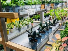 -鹿岛生活(熙地港店)