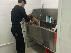 -圣宠动物医院·犬猫专科·影像中心·外科中心