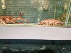 -新海利(北岭店)