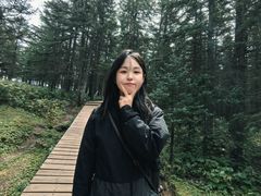 -芦芽山旅游度假区