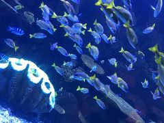 -南昌融创海世界