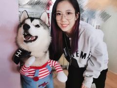 -Husky Go! 哈士奇体验馆·宠物咖啡厅狗咖