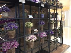 -L.C FLORA花予你(城西银泰城店)