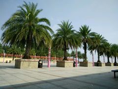 -玫瑰海岸文化旅游度假区