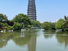 -红梅公园