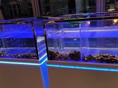 -马哥孛罗酒店·SAVVY全日餐厅