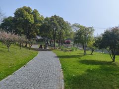 -贡湖湾湿地公园