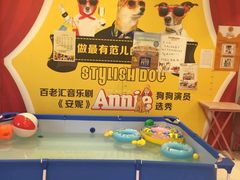 -神采飞扬宠物美容(香港路店)