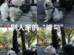-珊珊小笼馆(仙霞路店)
