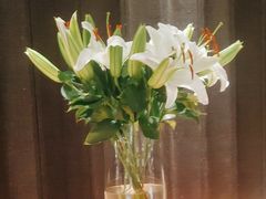 -阿妮叶李(光谷世界城店)