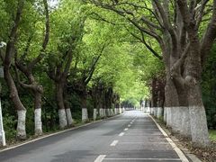 -动邦皮划艇·桨板·独木舟·团建户外运动俱乐部