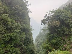 -峨眉山风景名胜区