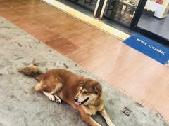 -拉威海鲜市场