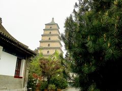 -骏途旅游