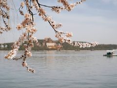 -颐和园