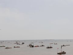 -北海金海湾红树林生态旅游区