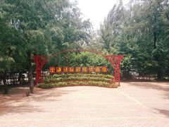 -北海金海湾红树林生态旅游区