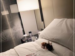 -长沙尼依格罗酒店
