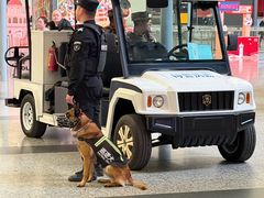 -广州白云国际机场-T1航站楼