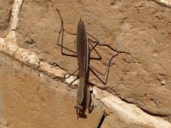 -蟠龙山长城景区