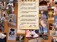 -翊宠yipet猫狗购宠庄园犬舍•猫舍
