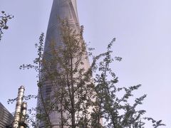 -上海中心大厦