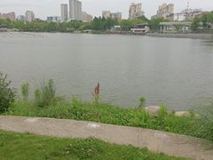 -葛仙湖公园