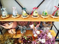 -卓花境Flowerwonderland花店