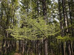 -长春市南湖公园