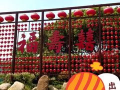 -合肥滨湖国家森林公园