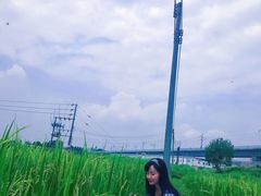 -光明小镇欢乐田园