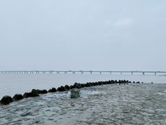 -南汇新城海滩