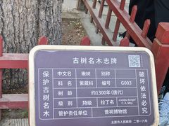 -晋祠博物馆