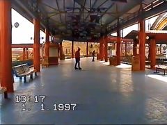 -中加枫华国际学校