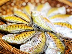 -吴记富苑(朝阳店)