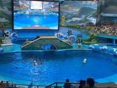 -海合安成都极地海洋公园