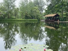 -溱湖国家湿地公园