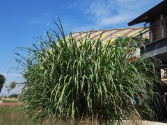 -中国天府农业博览园