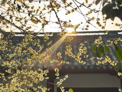 -阿育王寺素斋馆