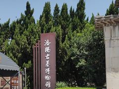 -洛阳古墓博物馆