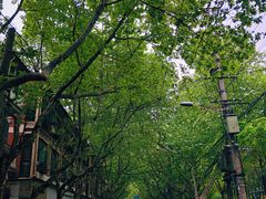 -Feiyue飞跃(长乐路店)