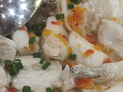 -丽景酒楼·佛山老字号(广佛智城店)