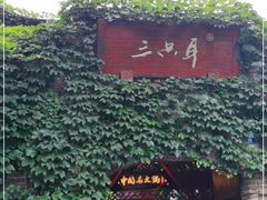 -三只耳火锅(宽窄巷子店)