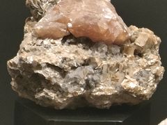 -正佳自然科学博物馆