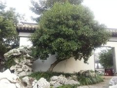 -常熟方塔园